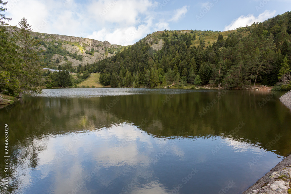 Lac des truites et forêt en montagne