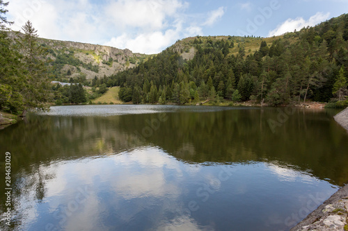 Lac des truites et forêt en montagne