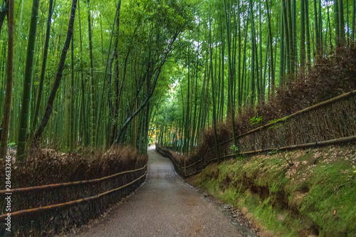 Refreshing summer in Kyoto Japan