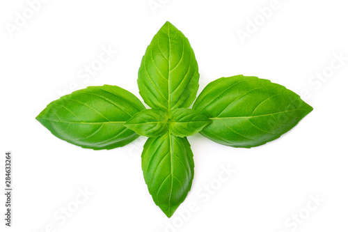 Top view of fresh green basil leaves isolated on white background.