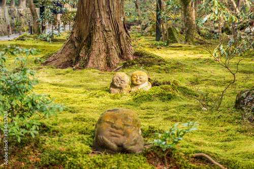 Refreshing summer in Kyoto,Japan photo