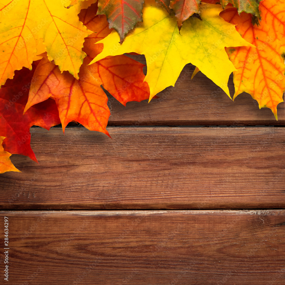 Nature Autumn Background with maple leaves Nature Autumn Background with maple leaves