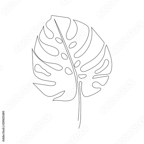Exotic monstera continuous one line drawing summer tropical leaf hand drawn on white background minimalist design