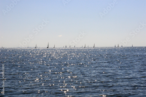 Canvastavla Yachts in Nida