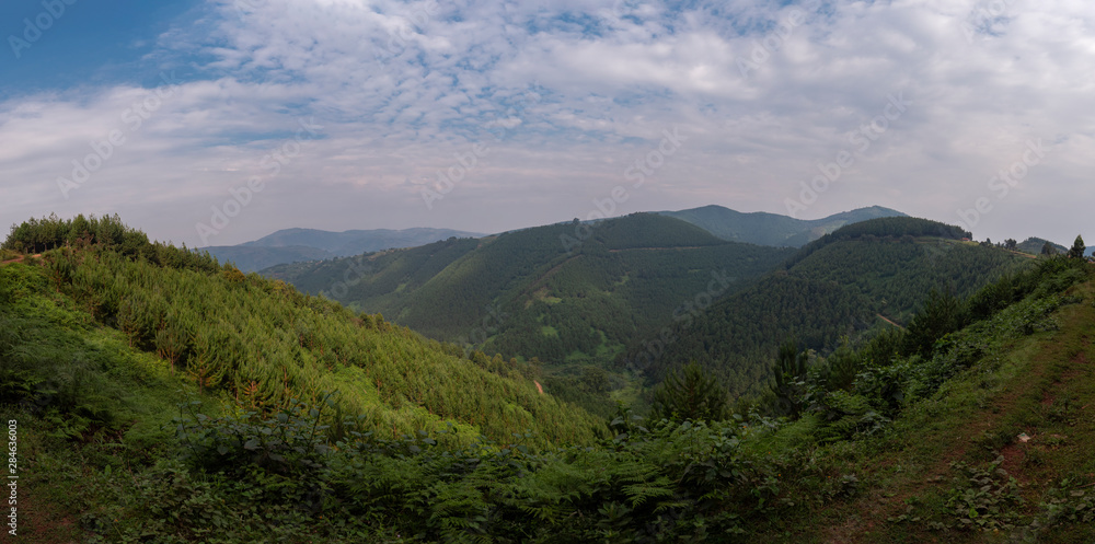 Landscape view of Bwindi Impenetrable Forest, Uganda Landscape view of Bwindi Impenetrable Forest, Uganda