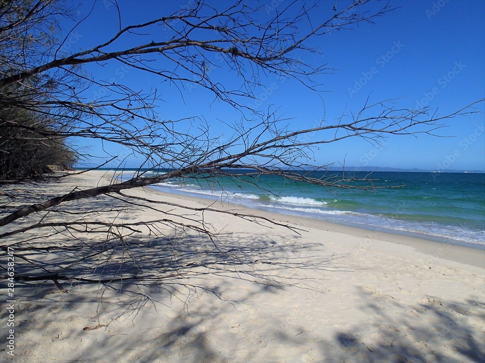 Fototapeta premium OLYMPUS DIGITAL CAMERA