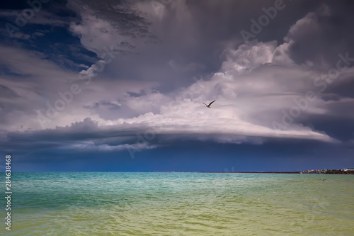 A thundercloud over Evpatoria, Black Sea. Crimea. Colored waves and seagull. Selective focus © Olga