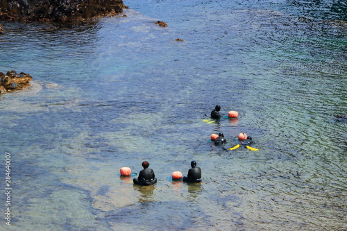 해녀들이 일하는 모습 이다.
