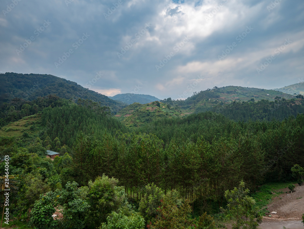 Landscape view of Bwindi Impenetrable Forest, Uganda Landscape view of Bwindi Impenetrable Forest, Uganda