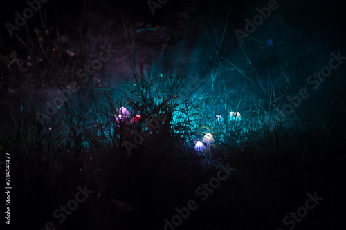 Fantasy glowing mushrooms in mystery dark forest close-up. Beautiful macro shot of magic mushroom or three souls lost in avatar forest. Fairy lights on background with fog © zef art