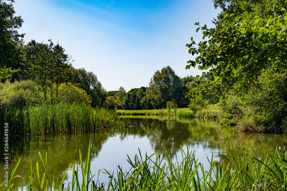 Photo of a natural beautiful small river in the summer on a sunny day in the forest. Great day, nice weather. Photo of a natural beautiful small river in the summer on a sunny day in the forest. Great day, nice weather.