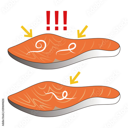 寄生虫 アニサキスと鮭の切り身 ベクター イラスト