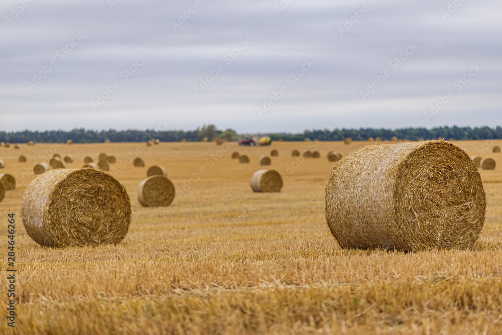 Fototapeta premium Hay roll on a meadow against a cloudy sky on a long focus with a tractor on a background