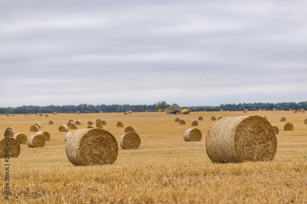 Hay roll on a meadow against a cloudy sky on a long focus with a tractor on a background