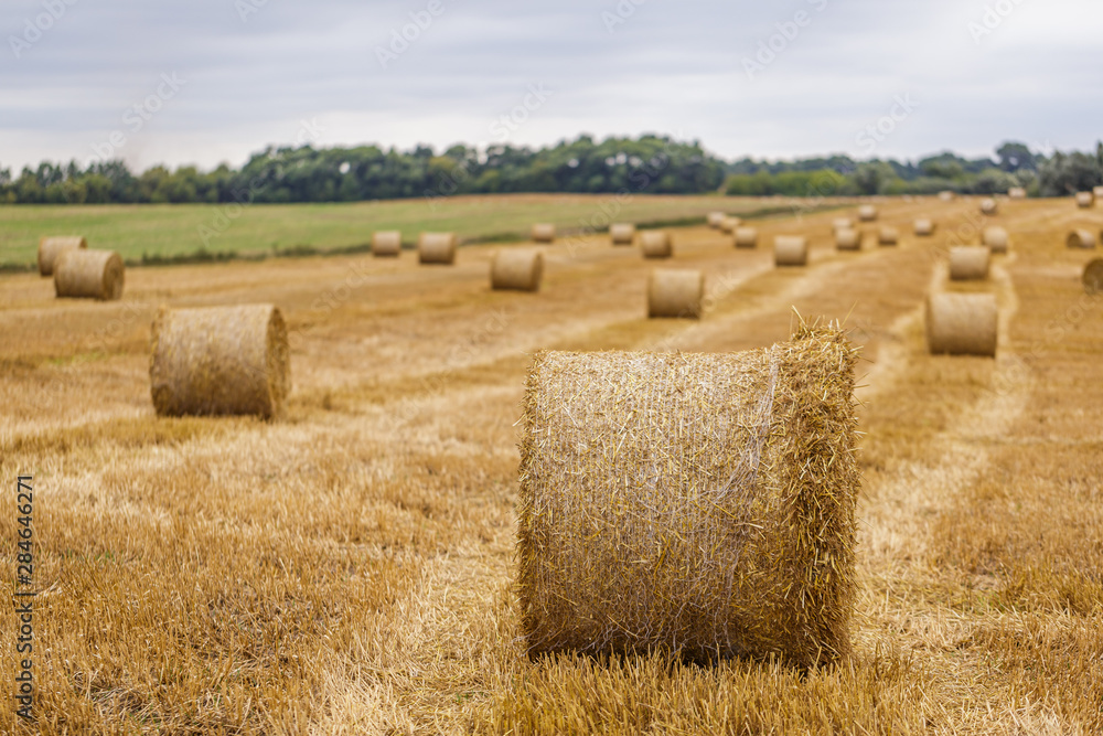 Hay roll on a meadow against a cloudy sky on a long focus