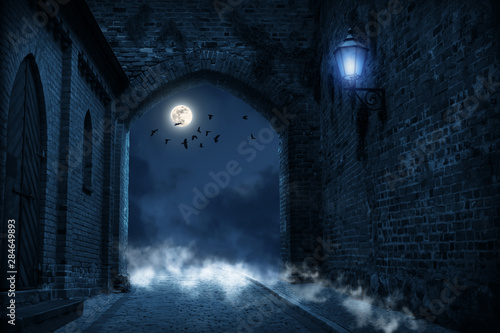 mittelalterliche burg in der nacht photo