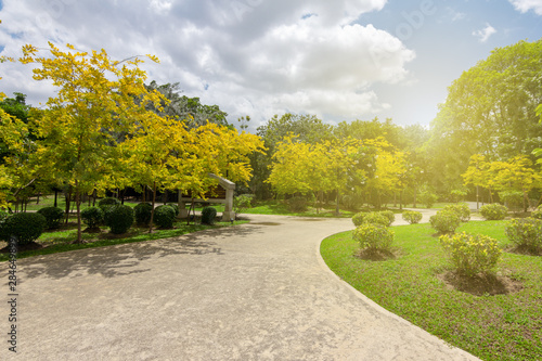 The view inside the natural garden with bright trees