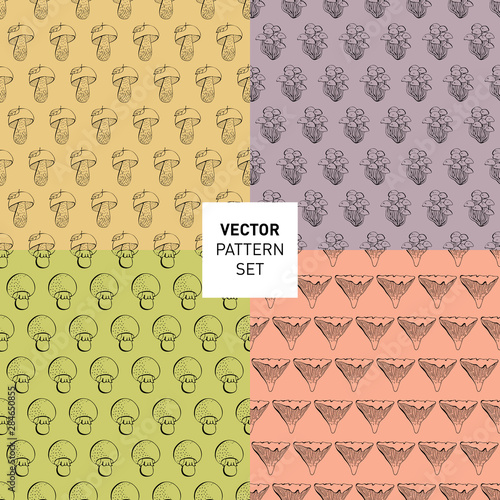 Set of seamless mushroom pattern. Champignon, Enokitake, Chanterelle, Porcini mushroom. Sketch in vector food drawing isolated on colored background. Organic, vegetarian product. Great for menu,