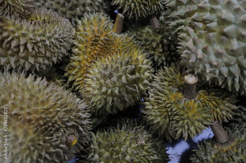 fruit thailand otop ancient Durian