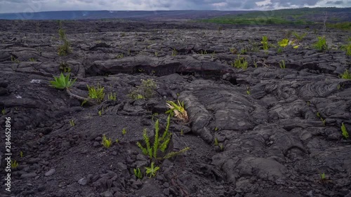 Barren land of volcanic area on the Big Island of Hawaii