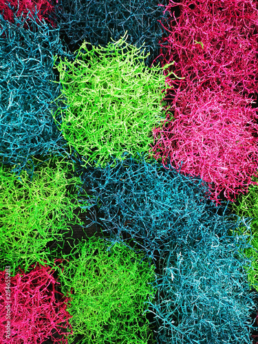 Εκτύπωση καμβά colorful plants of different colors as texture