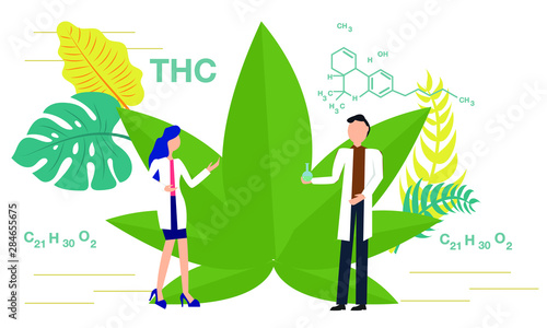 scientists study cannabis, flat design, chemistry and medicine, vector illustration