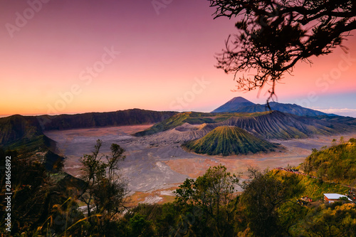 The beautiful scenery  of Mount Bromo National Park from the top of the hill with the foreground of a tree framing
