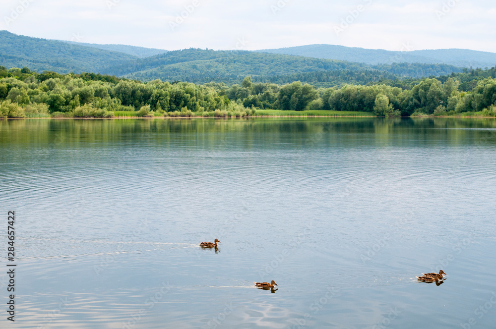 beautiful summer lake against the background of high mountains and blue sky beautiful summer lake against the background of high mountains and blue sky