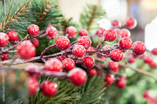 Berries on the branch.