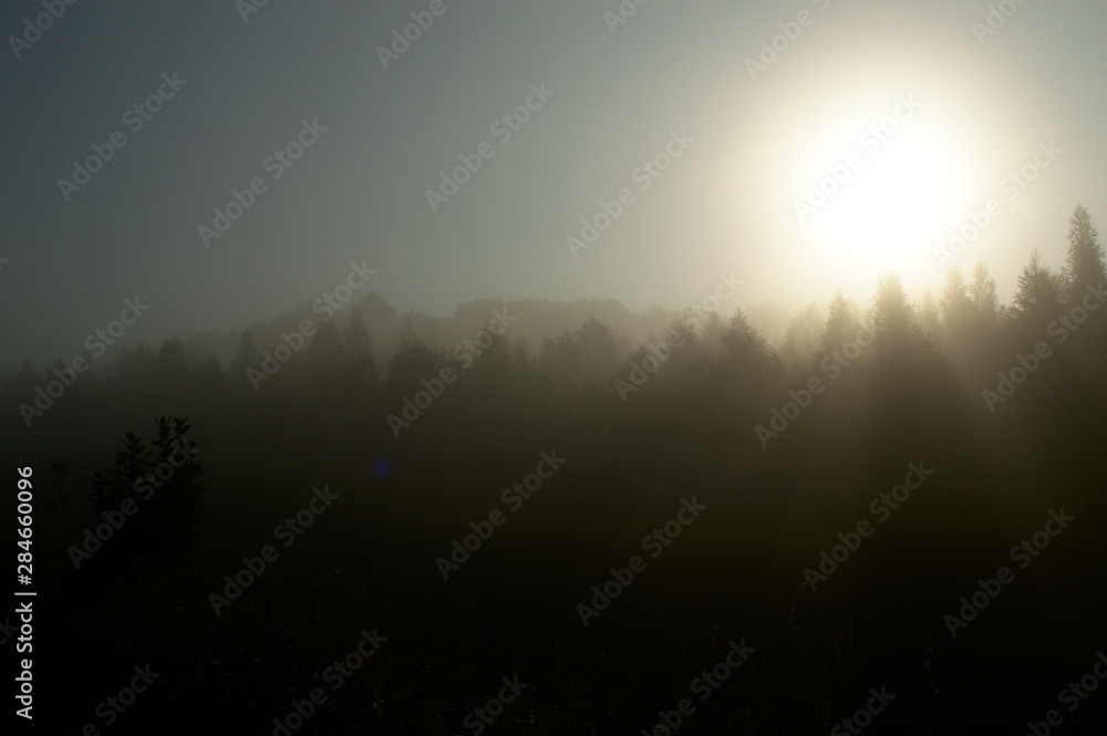 Sunset over the fog covering trees in the morning Sunset over the fog covering trees in the morning