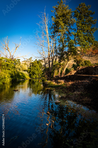 reflection of trees in the water of a tranquil river