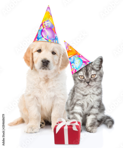 Golden retriever puppy and tabby kitten in birthday hats sitting with gift box. isolated on white background © Ermolaev Alexandr