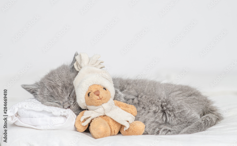 Cute baby kitten sleeping with toy bear on pillow at home