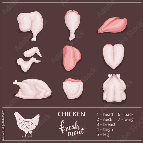 Scheme cutting chicken. Poster in retro style. Chicken pieces. Isolated on white background.