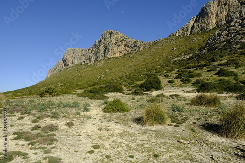 Landschaft und Steilküste im Vall de Bóquer auf der Halbinse Formentorl, Mallorca, Balearen, Spanien