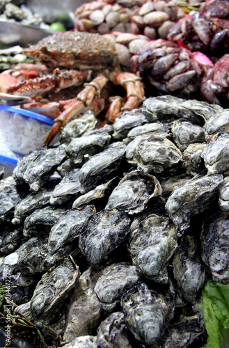 Oysters on the open market