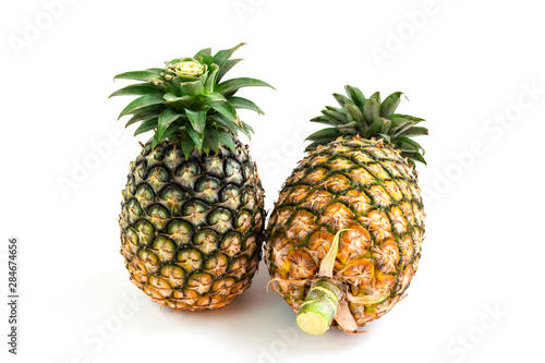 Two pineapple