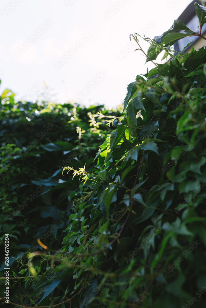 Obraz premium Warsaw