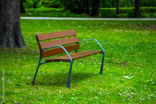 View of wooden bench in a spring park, on the meadow – green grass, flowers, trees and footpath on background.