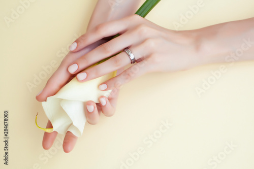 pretty perfect woman hands with white manicure and little flowers on colorful background