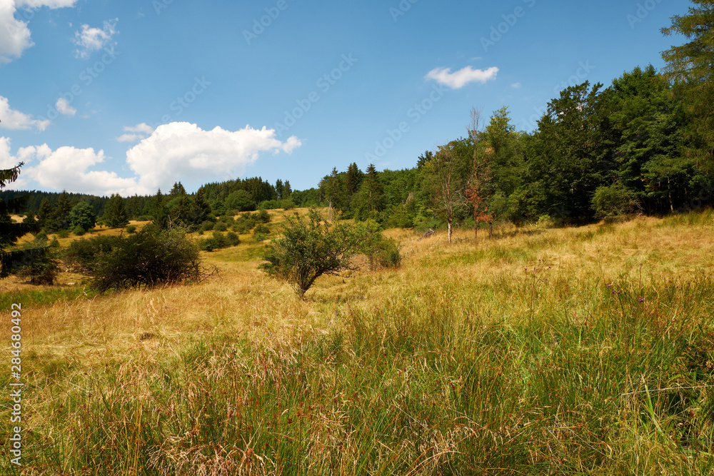 Am Bauersberg, Biosphärenreservat Rhön, Bischofsheim a.d.Rhön, Landkreis Rhön-Grabfeld, Unterfranken, Franken, Bayern, Deutschland.