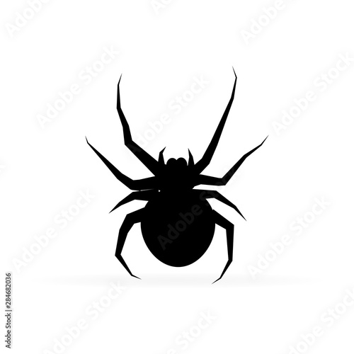 Silhouette spider. Spider icon, Isolated. Spider logo template. Halloween symbol.Tattoo design.