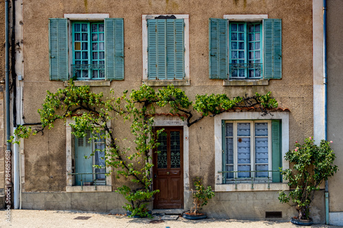 French old townhouse facade with vine growing up it