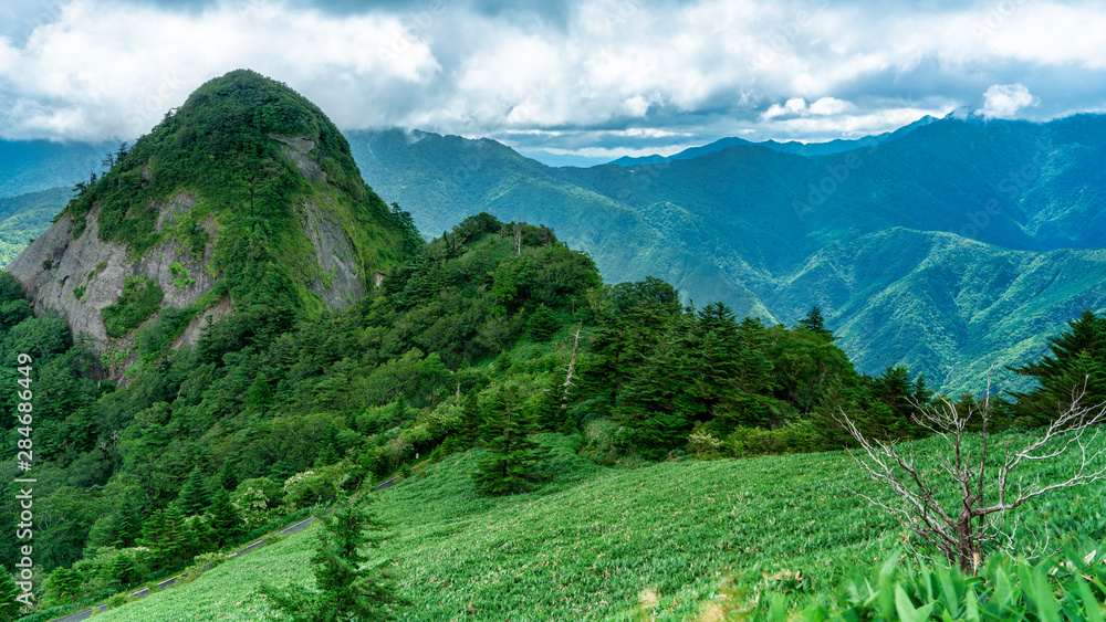 瓶が森林道 子持権現山