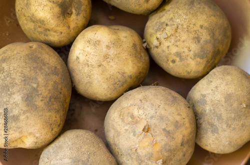 potatoes on a dark background