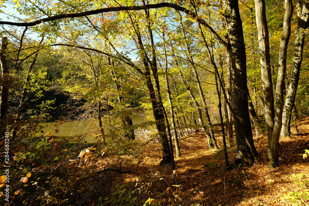 Naklejka premium Der Steigerwald bei Ebrach im Naturpark Steigerwald, Landkreis Bamberg, Unterfranken, Franken, Deutschland