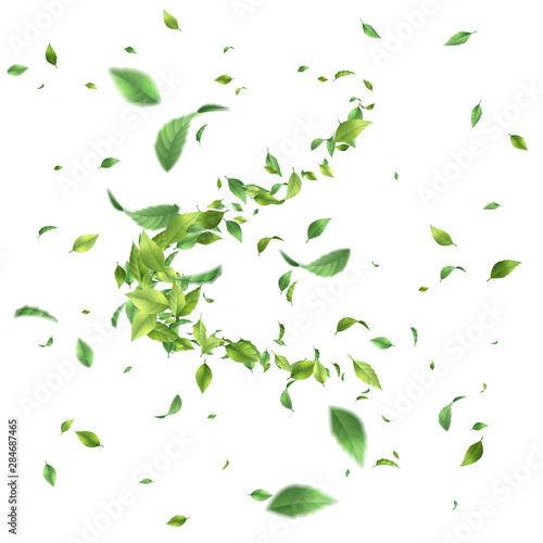 Greens Leaf Whirling in the Wind