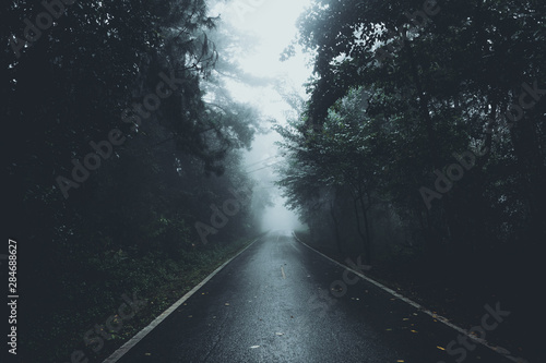 The road into the forest in the rainy season