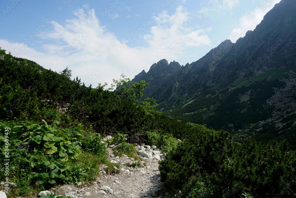 Beautiful High Tatras mountains landscape in Slovakia near city Old Smokovec. sunny summer day Beautiful High Tatras mountains landscape in Slovakia near city Old Smokovec. sunny summer day