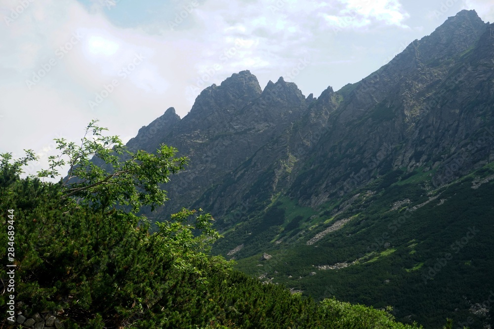 Beautiful High Tatras mountains landscape in  Slovakia near city Old Smokovec. sunny summer day